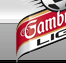 Gambrinus liga
